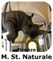 Firenze Museo di Storia Naturale